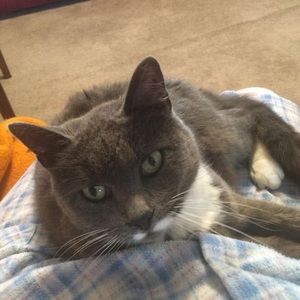 Meet your Posher, Barbara